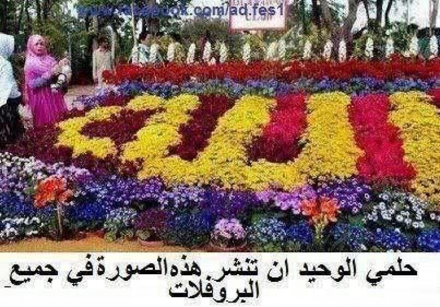 pour mariage  - إعلان رقم : 11445  | موقع الأبراج