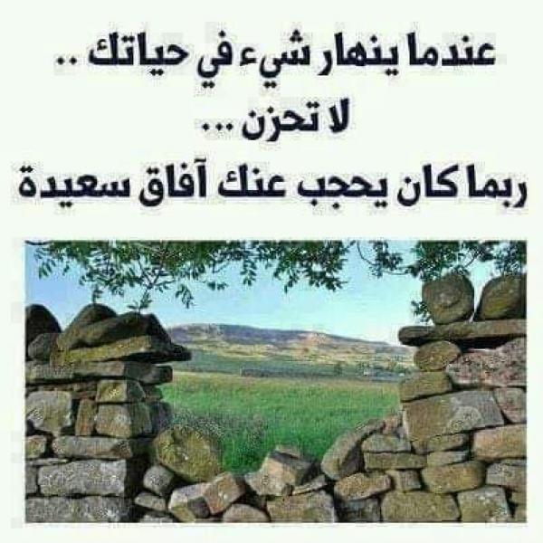قصد الزواج - إعلان رقم : 17573  | موقع الأبراج